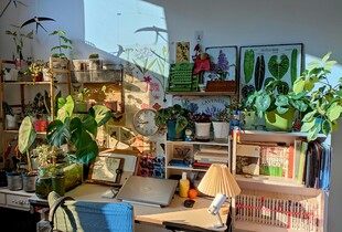 Більшість роблять все неправильно: як доглядати за вазонами восени та взимку