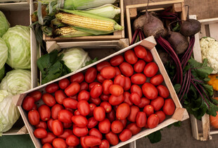 Що робити, щоб овочі не замерзали у льосі: дієві поради