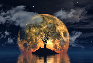 Місячний календар на грудень 2025 – сприятливі та несприятливі дні