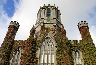 Ірландські університети приєдналися до Глобальної коаліції українських студій