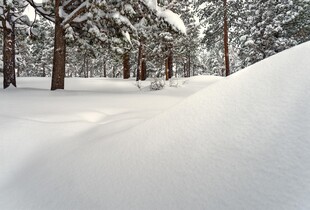 Прогноз погоди на 12 січня: де вдарить до -24 градусів морозу