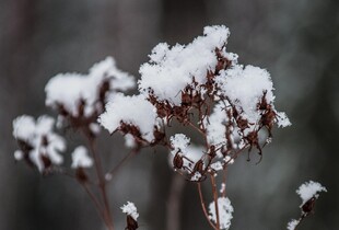 В Україні нарешті потеплішає: прогноз погоди на 5 лютого