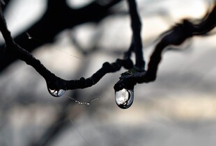 Повітря прогріється до +9 градусів, але з дощами: прогноз погоди на 13 лютого від Діденко