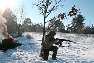 ЗСУ за добу знищили 920 окупантів, 50 артсистем і ППО