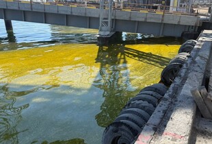 Розлив олії в порту 