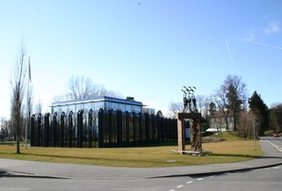 МОК може залишитись без грошей ЄС після скасування обмежень для росії