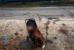 росія завдала удару по парку на Харківщині: загинули дві жінки і немовля, семеро дітей поранені